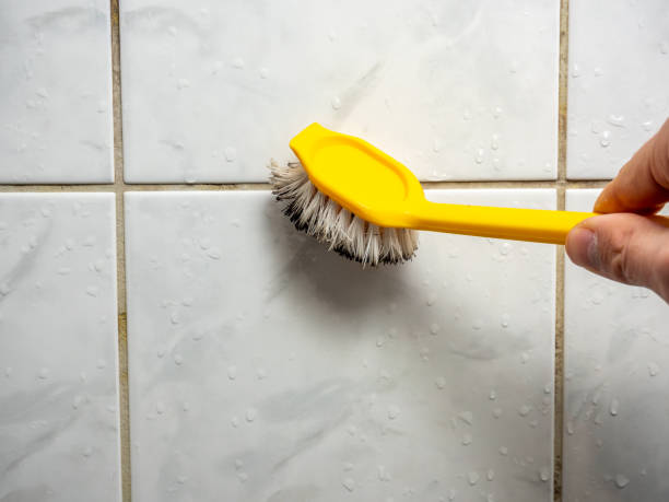 Mold Removal and Inspection in Mobile, AL